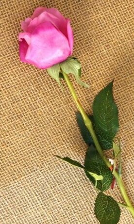 Роза бутон фиолетовая 54 см