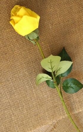 Роза бутон 54 см цвет желтый