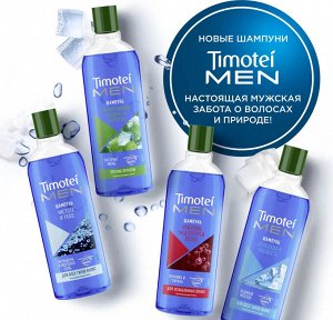 ТИМОТЕЙ Шампунь для мужчин Чистота и уход, 400мл