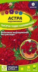 Астра Тысяча чудес карминная карликовая /Сем Алт/цп 0,2 гр.