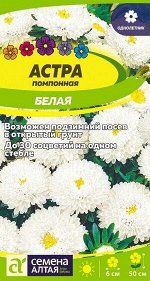 Астра Помпонная Белая/Сем Алт/цп 0,2 гр.