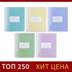 Тетрадь 12 листов в линейку Calligrata &quot;Пятёрка&quot;, обложка мелованный картон, ВД-лак, блок офсет, белизна 95%, МИКС