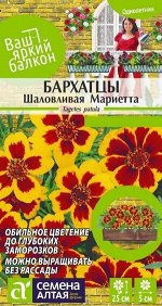 Цветы Бархатцы Шаловливая Мариетта/Сем Алт/цп 0,3 гр. Ваш яркий балкон