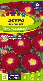 Астра Помпонная Темно-красная/Сем Алт/цп 0,2 гр.