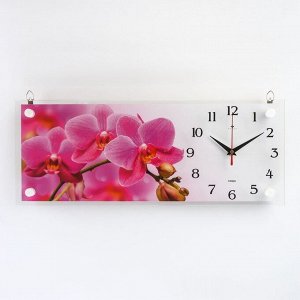 Часы-картина настенные, серия: Цветы, "Ветка розовых орхидей", плавный ход, 20 х 50 см