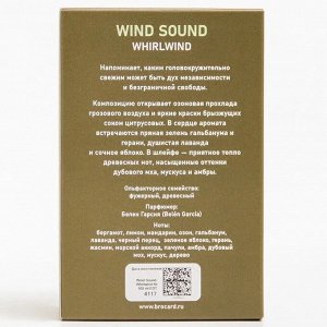 Мужская Wind Sound Whirlwind 100 мл