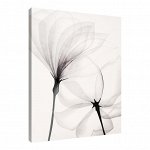 Постер Art-0538 Нежные цветы 3 40х50