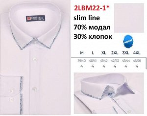 JenTa 222+1*LBM Brostem рубашка мужская