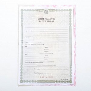 Папка для свидетельства о рождении, А5 «Девочка»