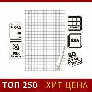 Блокнот для флипчарта в клетку Calligrata, 67.5x98 см, 20 листов, 80 г/м², белизна 92%
