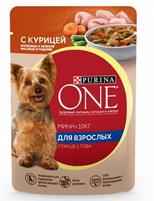 Влажный корм для собак Purina ONE Мини Взрослая для мелких пород с курицей, морковью и зеленой фасолью в подливе 85 г