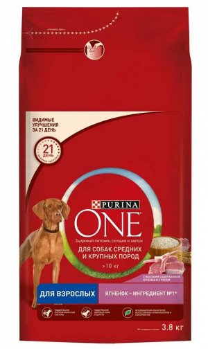 Purina ONE сухой корм для собак средних и крупных пород с ягненком и рисом - 3,8 кг