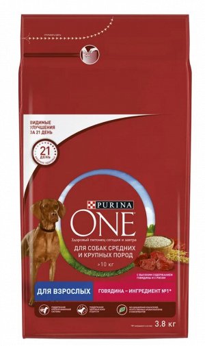 Purina ONE для собак средних и крупных пород, говядина рис 3,8 кг