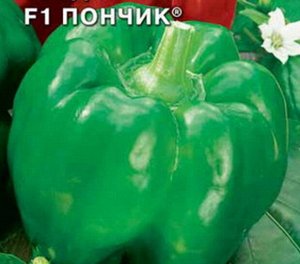 Перец сладкий Пончик
