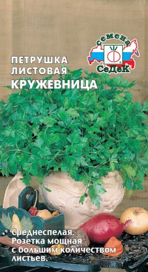 Витамины в укропе свежем. Чем полезна петрушка. Укроп для детей для заваривания. Мифы о петрушке. Витамины в укропе и петрушке.