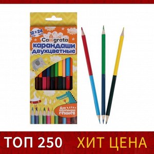 Карандаши двусторонние, заточенные, 12 шт., 24 цвета, корпус трёхгранный, деревянный, в картонной коробке