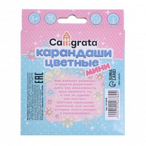 Карандаши цветные 12 цветов Calligrata «Принцесса», МИНИ в картонной коробке, корпус треугольный, деревянный