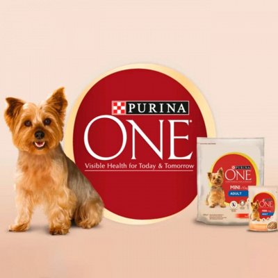 Для любимых ваших питомцев! Пурина❤ — Purina ONE Dog