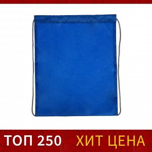 Мешок для обуви 420 х 340 мм, Calligrata "Стандарт", (мягкий полиэстер, плотность 210 D), синий, МИКС (синий/серый шнурок)