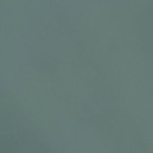 Плёнка для цветов упаковочная пудровая «Имбирная мята», 0.5 х 9 м
