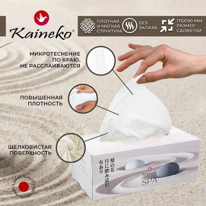 Салфетки бумажные Кайнеко СПА, 2х сл.,лист 180*200мм, 250шт. (Kaineko SPA Tissue Paper) арт.3245