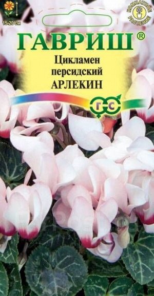 Цикламен персидский, семена "Гавриш", 15 сортов