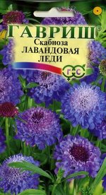 Скабиоза Лавандовая леди,махровая 0,5гр (г)