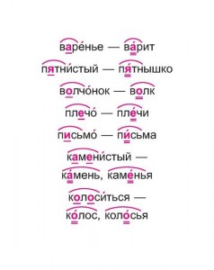 Русский язык.Важные орфограммы 1-4 кл