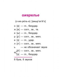 Русский язык.Все виды разборов 1-4 кл