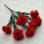 Букет Гвоздик