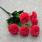 Букет Гвоздик