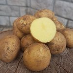 Семенной картофель &quot;Метеор&quot;, 3 кг