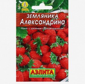 Земляника "Александрина"