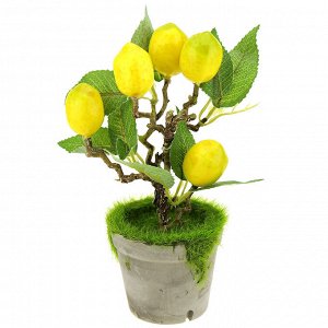 Декоративное дерево "Лимон" h17см в горшке д7см h6см (Китай)