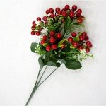 Ветка Калины