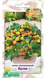 Томат Ацтек ЦВ/П (ЕС) 10шт скороспелый 20-40см комнатный