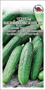 Огурец Вязниковский ЦВ/П (СОТКА) 0,5гр раннеспелый