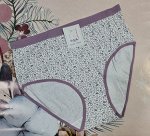 Трусы женские 7803 сирень