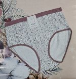 Трусы женские 7803 какао