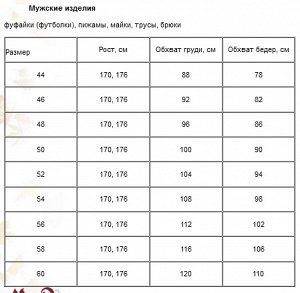 Футболка мужская
