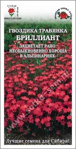 Цветы Гвоздика травянка Бриллиант ЦВ/П (Сотка) 0,1гр многолетник 10-15см