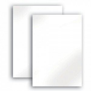 Белый картон А4 100л., 290г/м2, BRAUBERG, 210х297мм, 124877