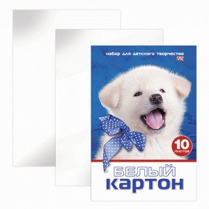 Белый картон А4 МЕЛОВАННЫЙ, 10л., в папке, HATBER VK, Белый