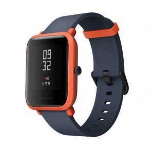 Часы Amazfit Bip 4.5