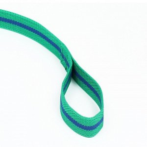 Поводок 2 м х 3 см, зелёно-синий