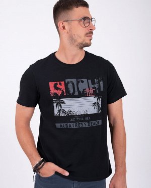 Футболка мужская 11165-013 черный