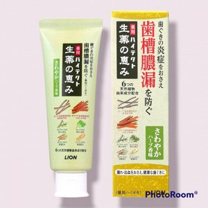 Зубная паста "Hitect Seiyaku" для профилактики болезней десен и кариеса с аром свежих трав 90 гр