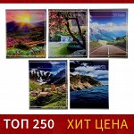 Тетрадь 36 листов в клетку Calligrata &quot;Природа&quot;, обложка мелованный картон, блок №2, белизна 75% (серые листы), МИКС