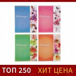 Тетрадь 48 листов в клетку Calligrata &quot;Орнамент&quot;, обложка мелованная бумага, блок №2, белизна 75% (серые листы), МИКС