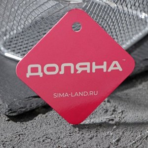Корзинка для картофеля фри Доляна «Квадро», 23,5?11?12,5 см, мелкая сетка, цвет серебристый